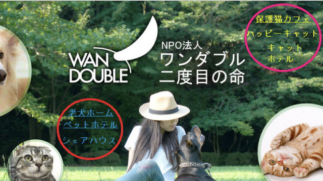 ワンダブル二度目の命の口コミ評判は 活動内容や寄付の方法について解説 キフシル